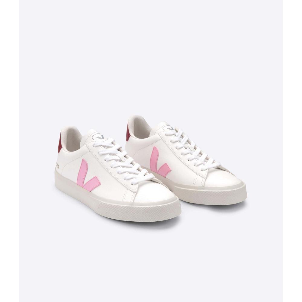 Veja CAMPO CHROMEFREE Low Tops Sneakers Heren White/Pink | BE 193WNB